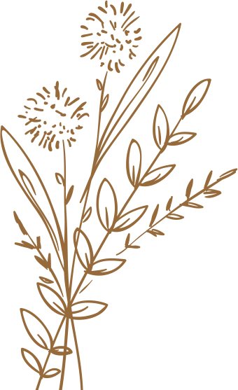 flower brown