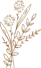 flower brown