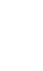 footer leaf 1 1