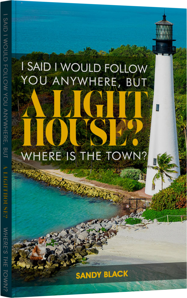 Sandy Black Book 08 Cover Mockup 15 05 24